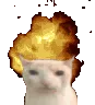 boomcat