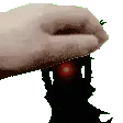 Krillpats