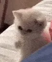 IwillBeatYoAss