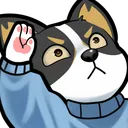 corgi7