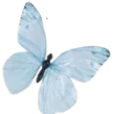emoji_7