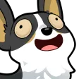 corgiwoo