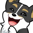 corgilul