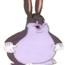bluesponge