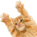 Newbert