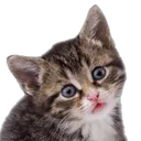UsbCabel