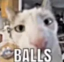 1catballs