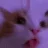 catrave