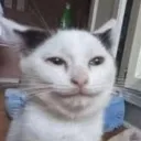 apfelsalt