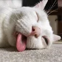 AUGHHHHHHHH