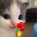 thank_u thank_u