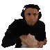 VeryDrama