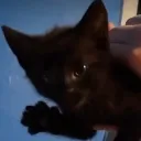 luckcharm