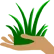 touchsomegrass touchsomegrass