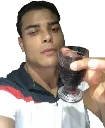 paulowine paulowine