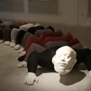 centipede_human