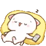 catsleep