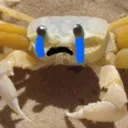 suicidalcrab