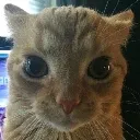 stare_bread