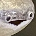 fish_pog