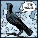 ItsTrueBird