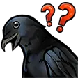 corvus_confused