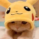 Cat_Hood Discord Emoji