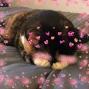 emoji_49