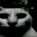 kotdespair