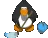 MS_pinguincleaner