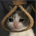cat_helpless