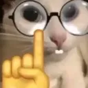 nerdkitty