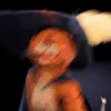 Puss_FU