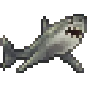 Shark