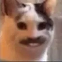 Shadowalhge7bebe
