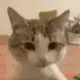 bruh