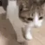 ded