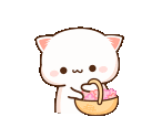 Cat Flowers Discord Emoji