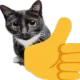 Thumbsupcat thumbsupcat Discord Emoji