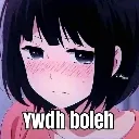 ywdboleh