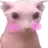 f_catshy