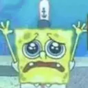 sadsponge