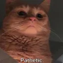 CatPathetic Discord Emoji