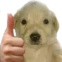 thumbsup2 thumbsup2