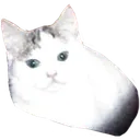 potat