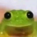 froguisoul