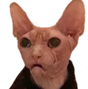 jezuufamtobie jezuufamtobie