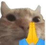 catprayer