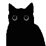 blackcatblep
