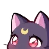 peek peek
